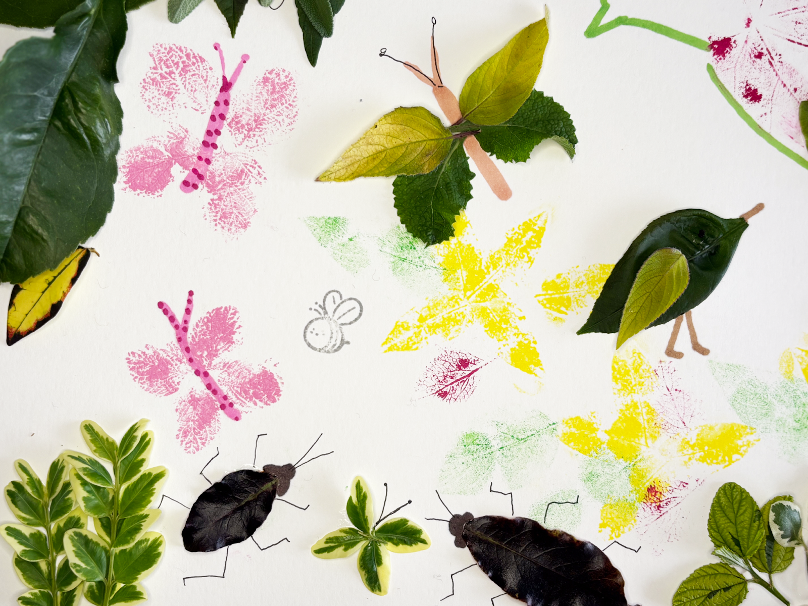 Petit Collage Études Sur La Nature – Set Magnétique Shine Bright – 2 Scènes Et 25 Pièces – Jeu D'imagination Portable