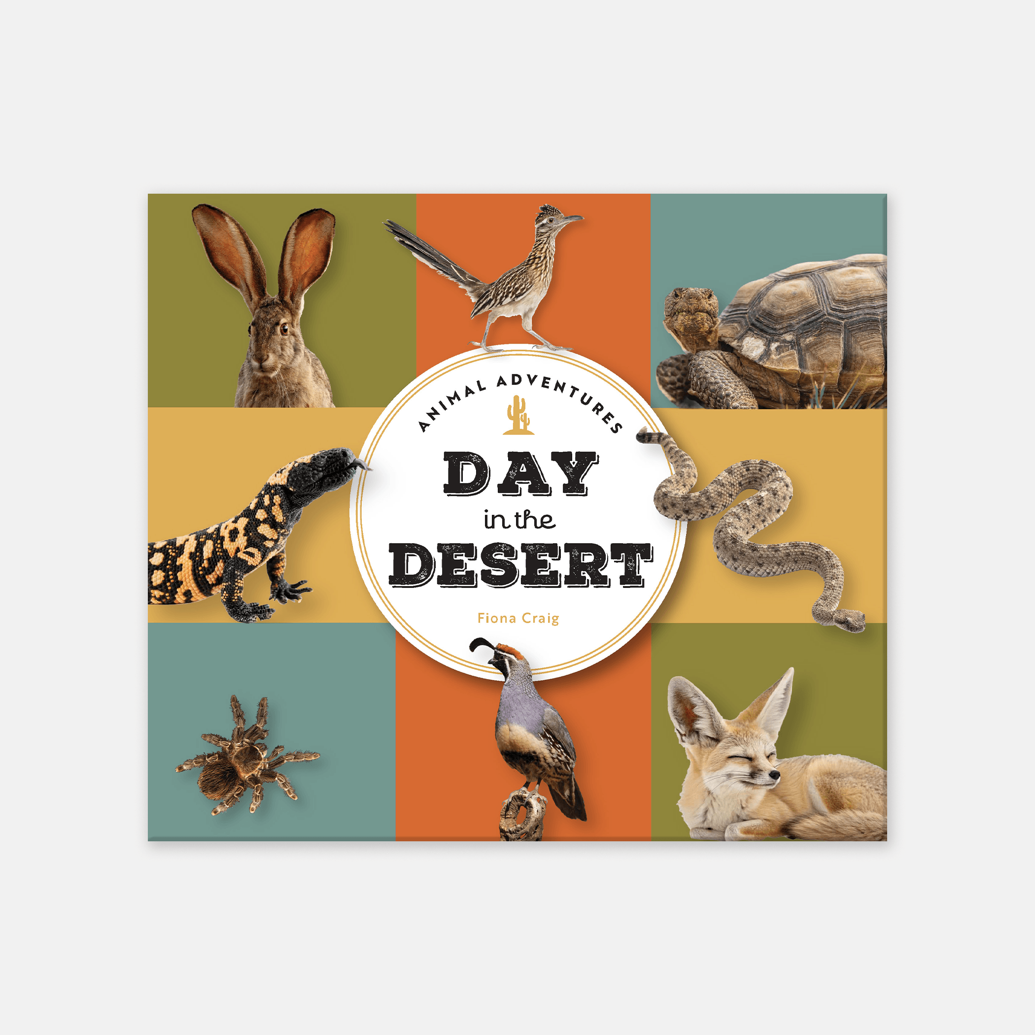 Animal Adventures: Day in the Desert