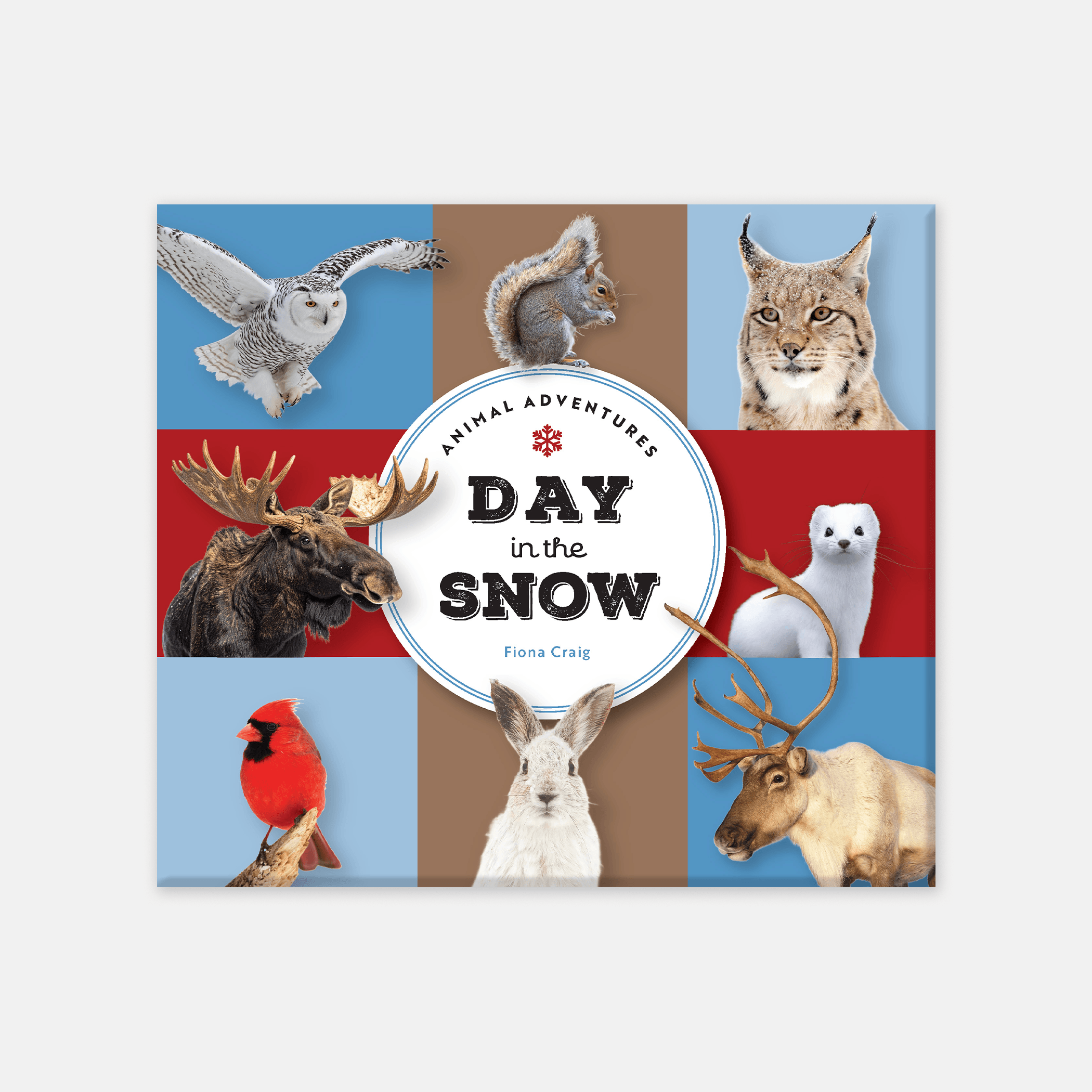 Animal Adventures: Day in the Snow