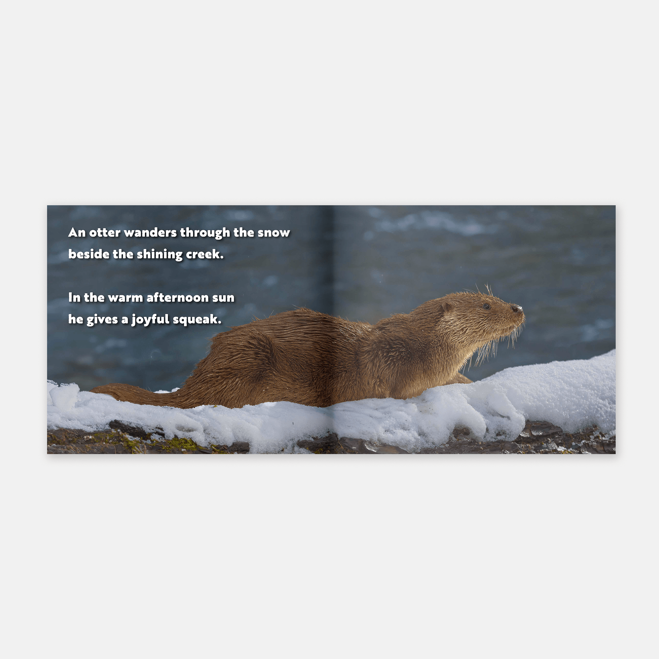 Animal Adventures: Day in the Snow