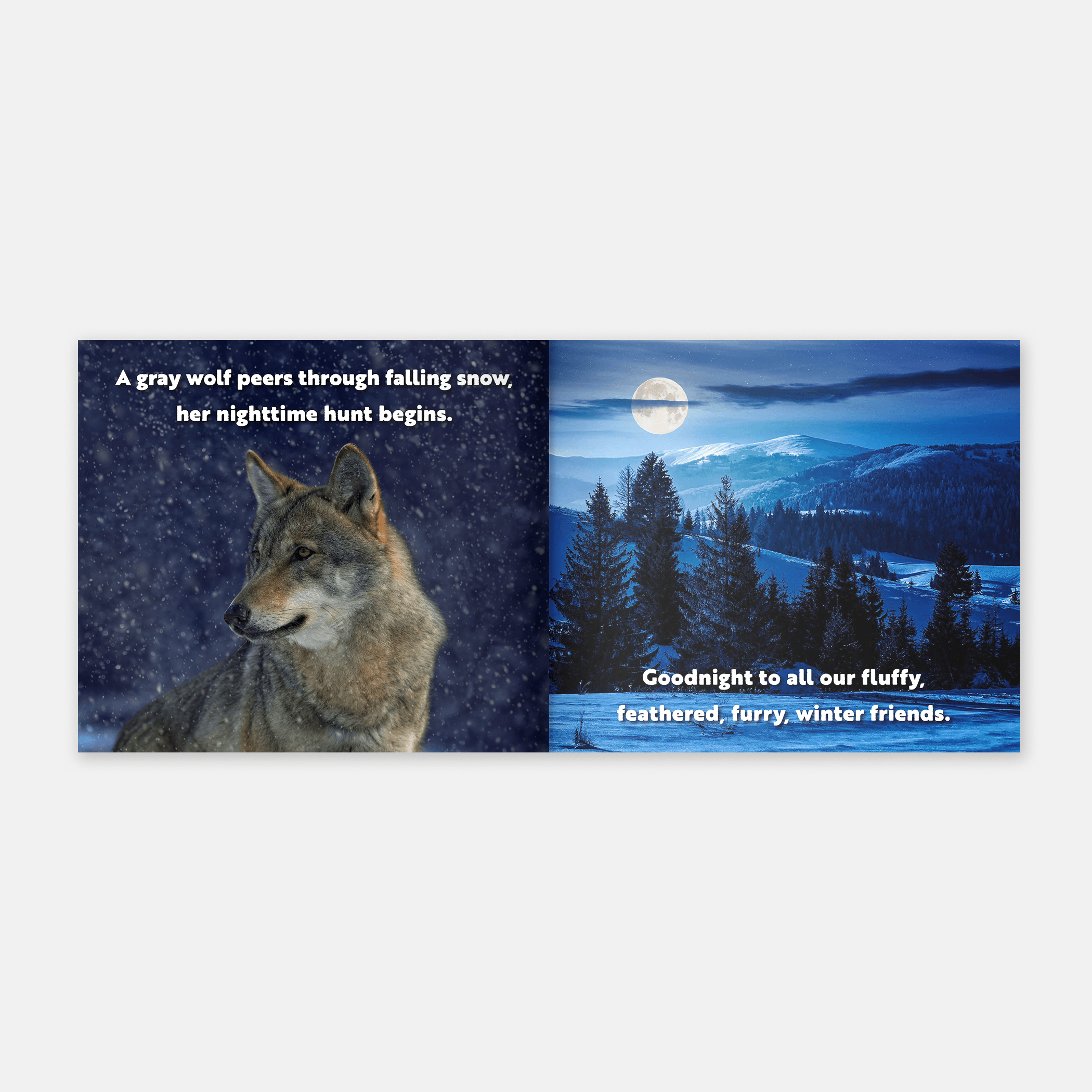 Animal Adventures: Day in the Snow