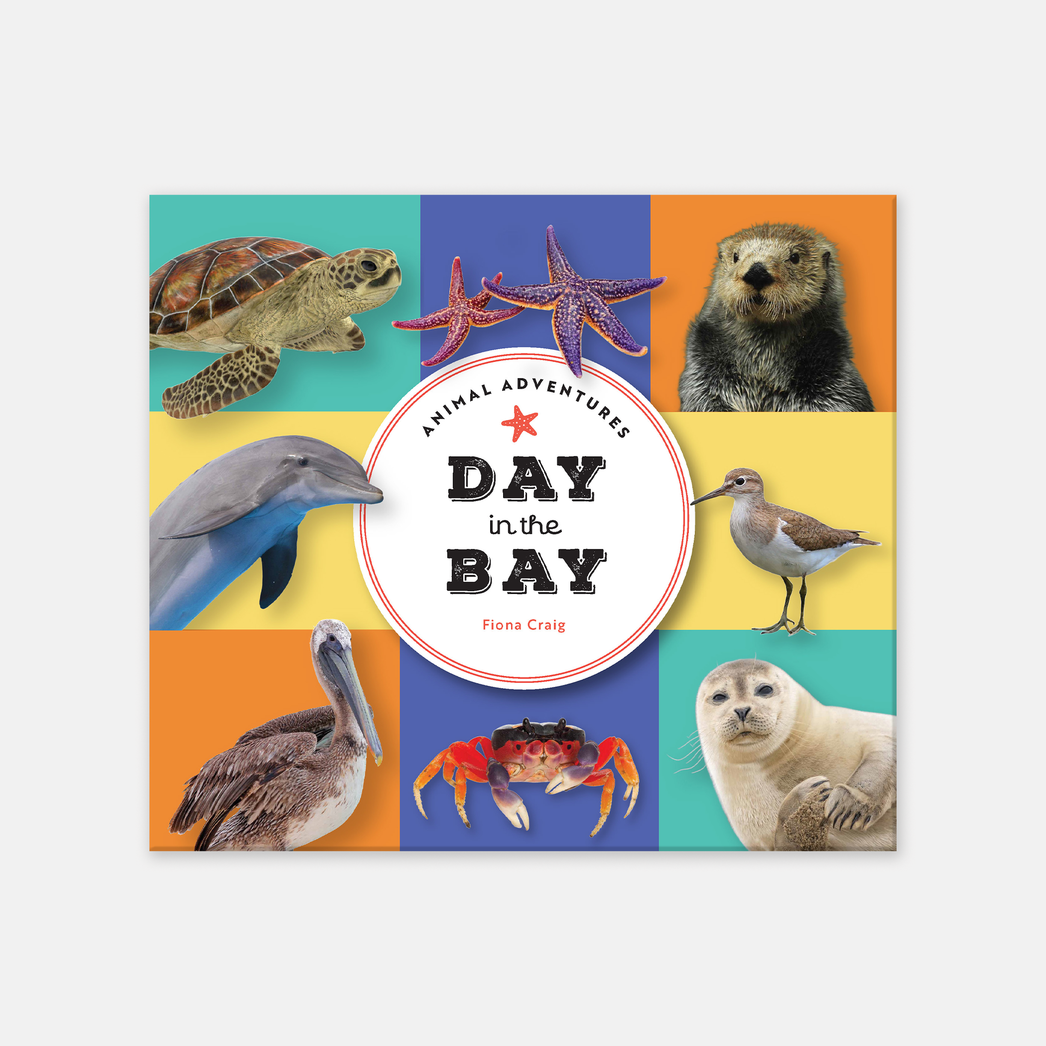 Animal Adventures: Day in the Bay