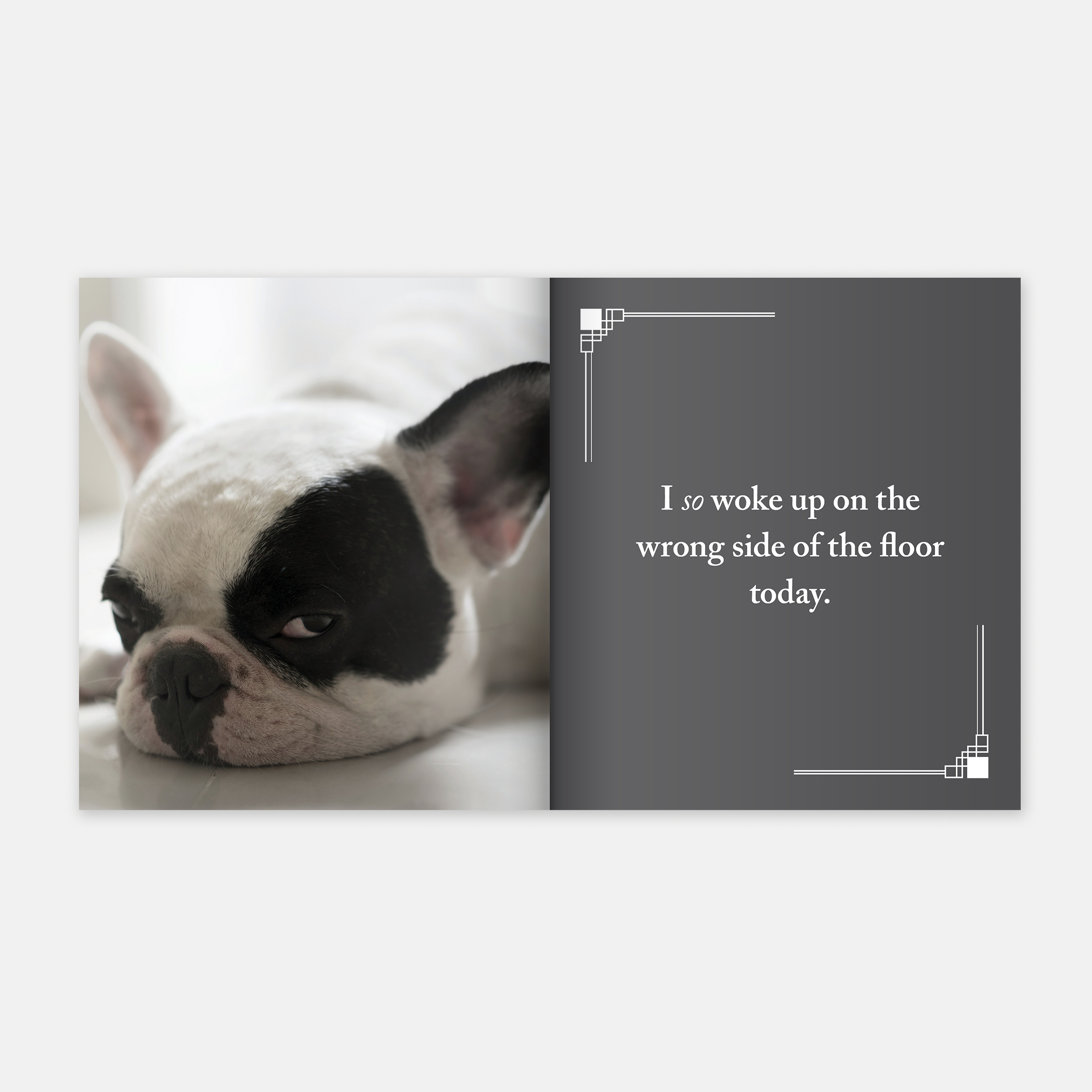 I Bark, Therefore I Am