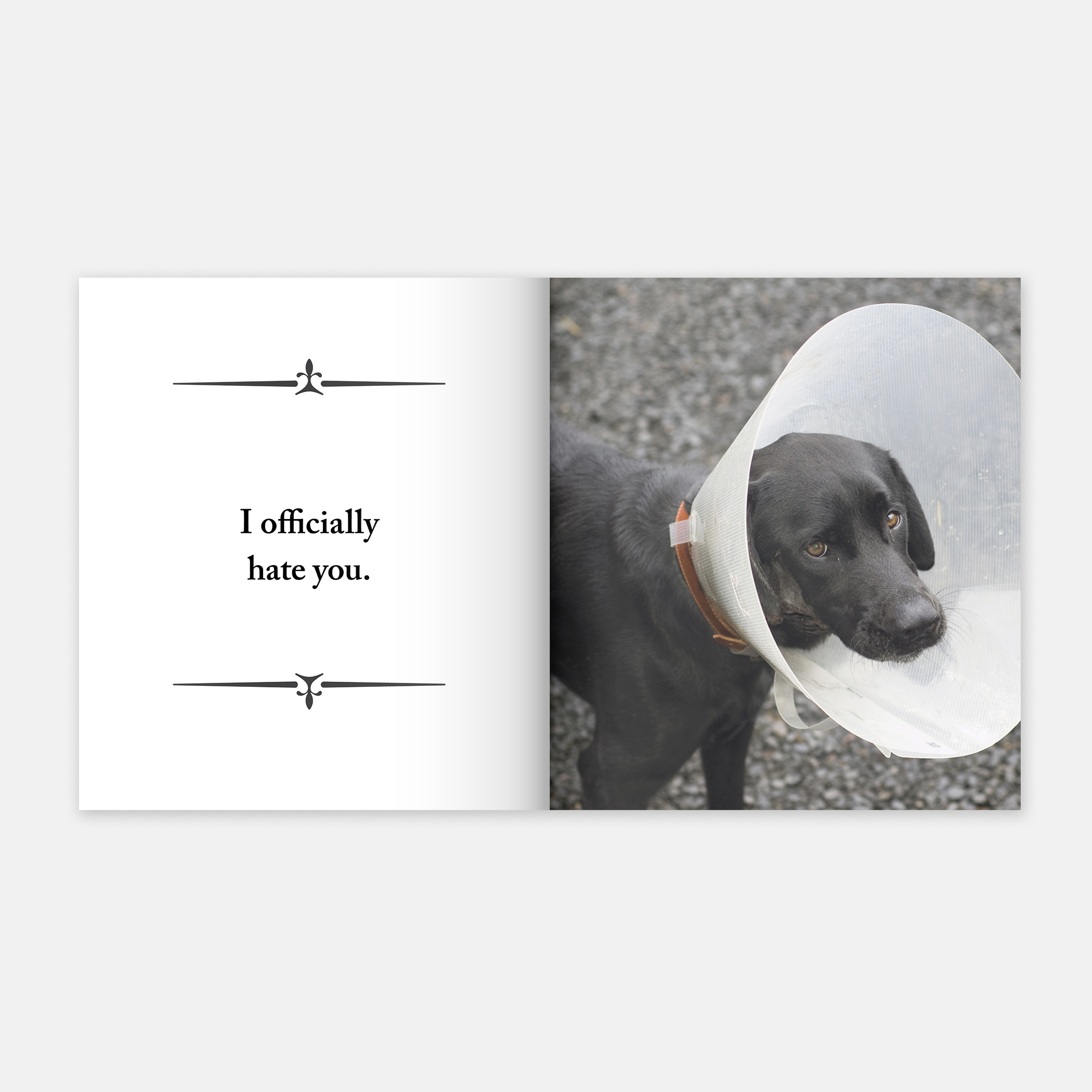 I Bark, Therefore I Am