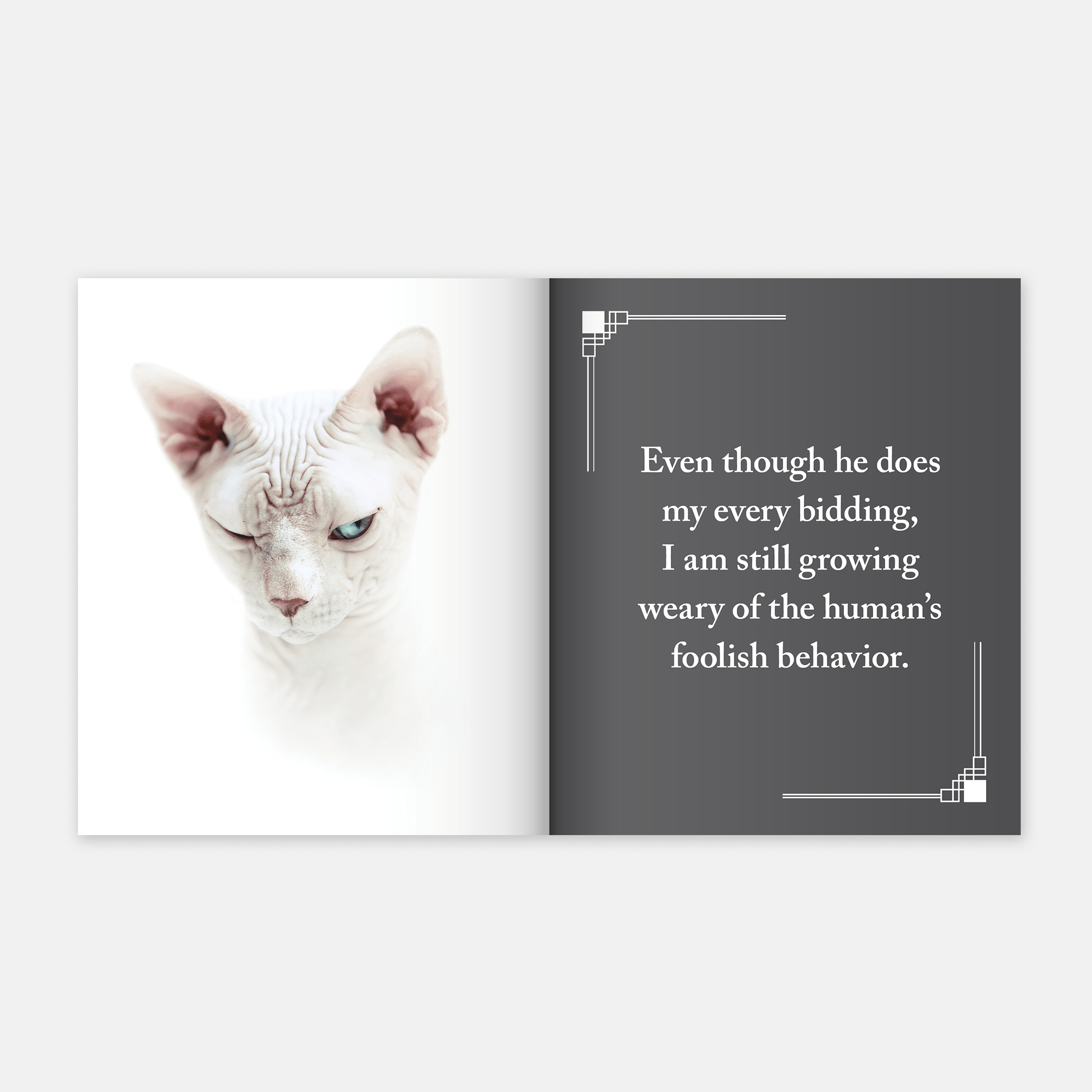 I Purr, Therefore I Am