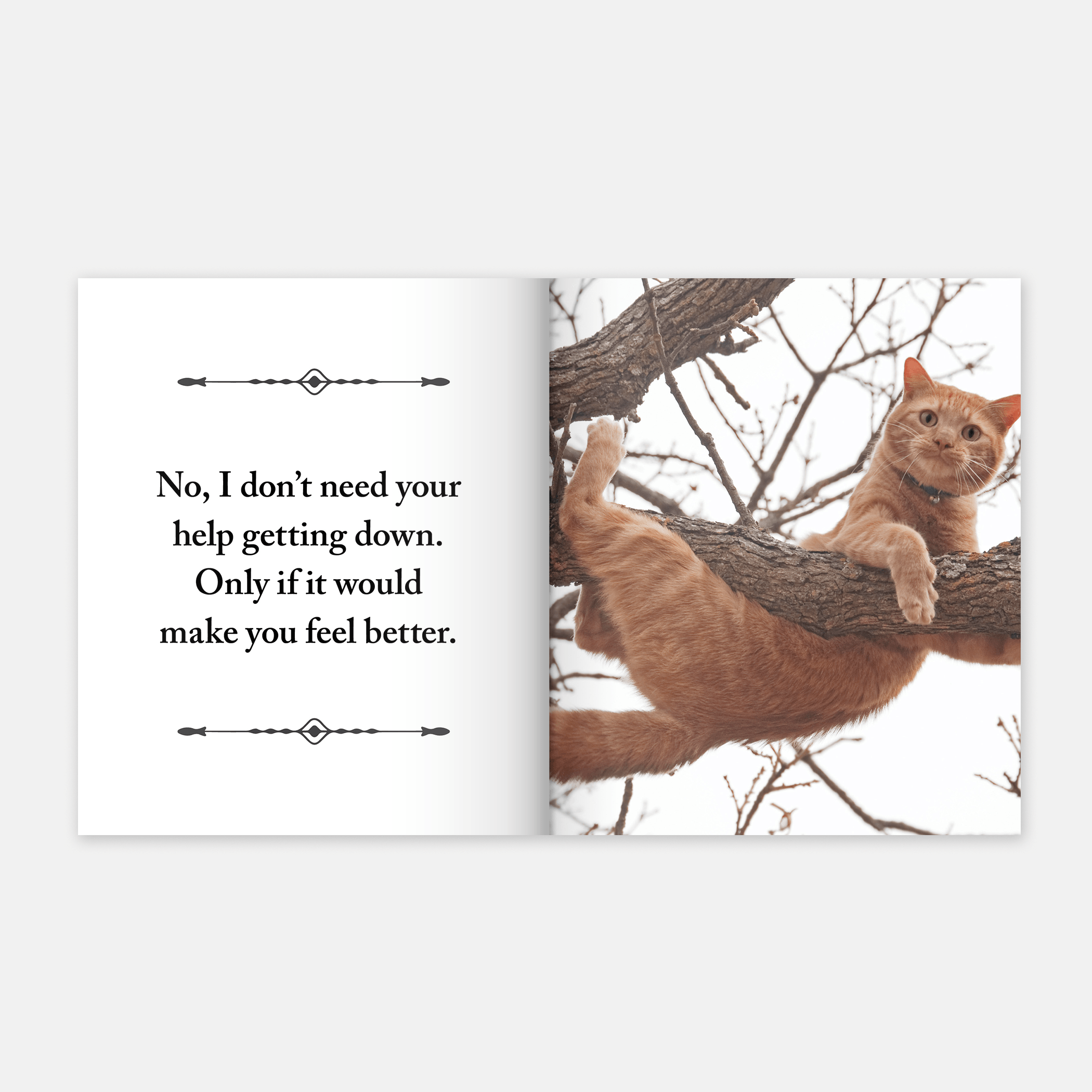 I Purr, Therefore I Am
