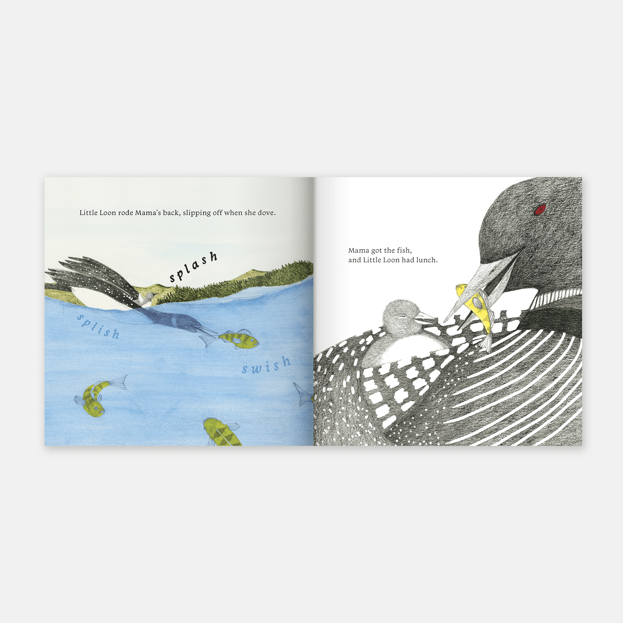 Little Loon Finds His Voice (Board Book)