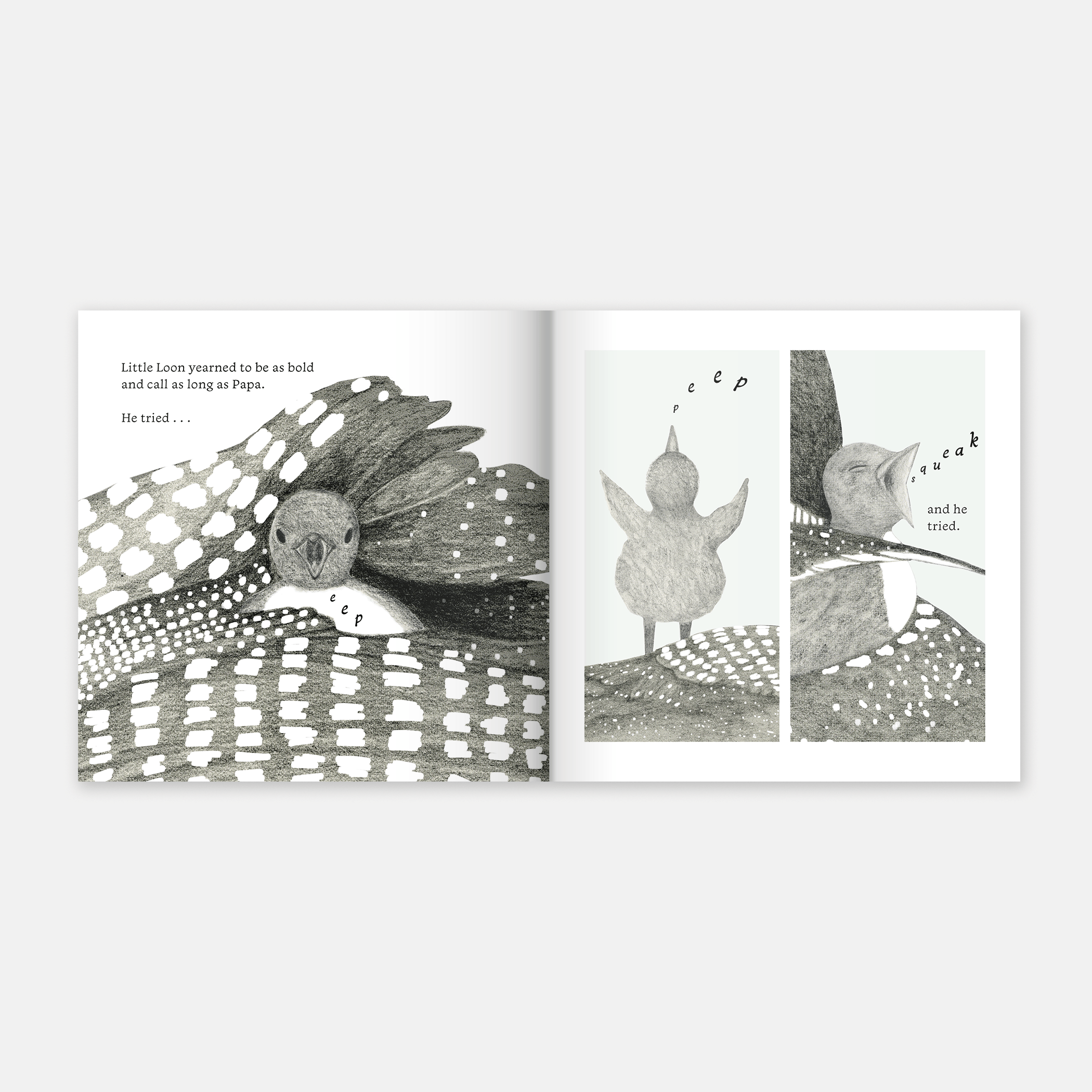 Little Loon Finds His Voice (Board Book)