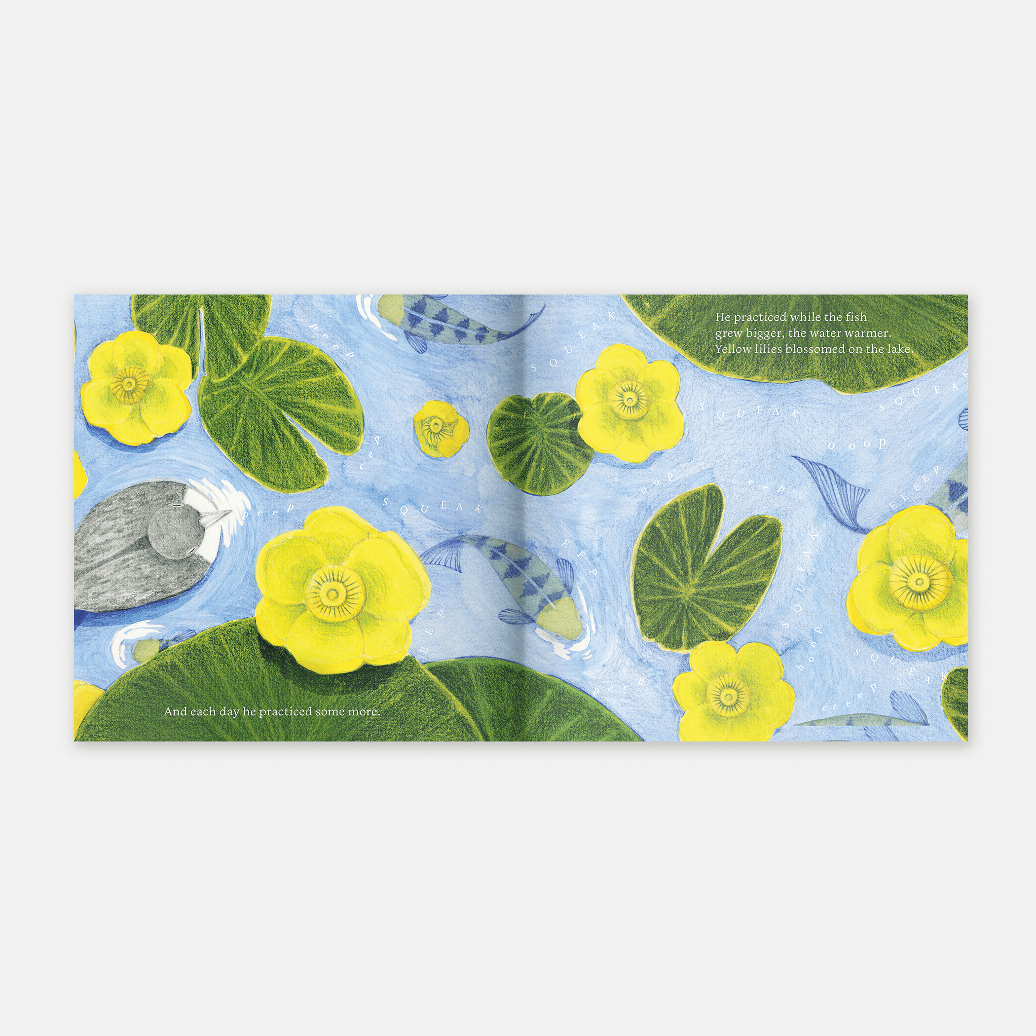 Little Loon Finds His Voice (Board Book)
