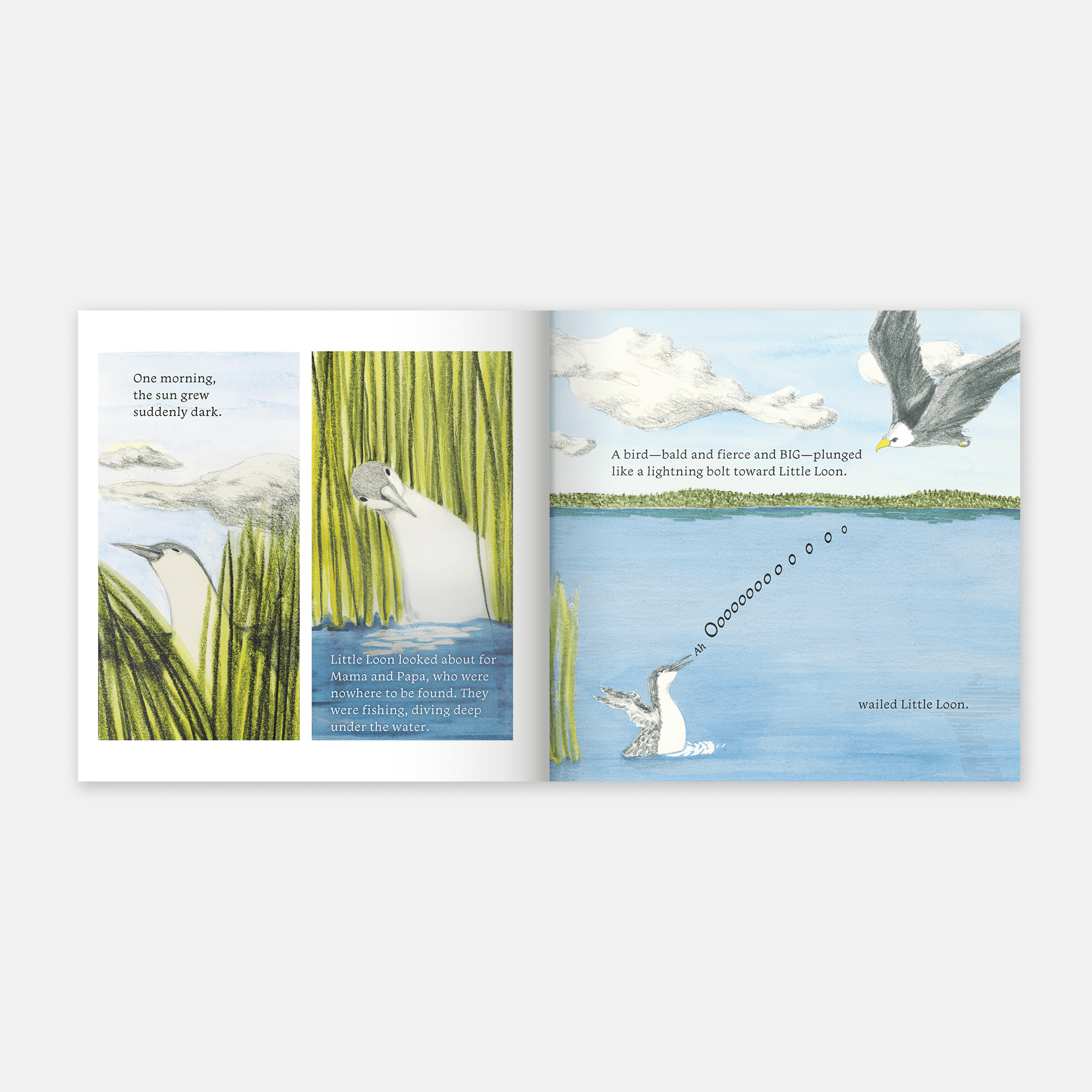 Little Loon Finds His Voice (Board Book)