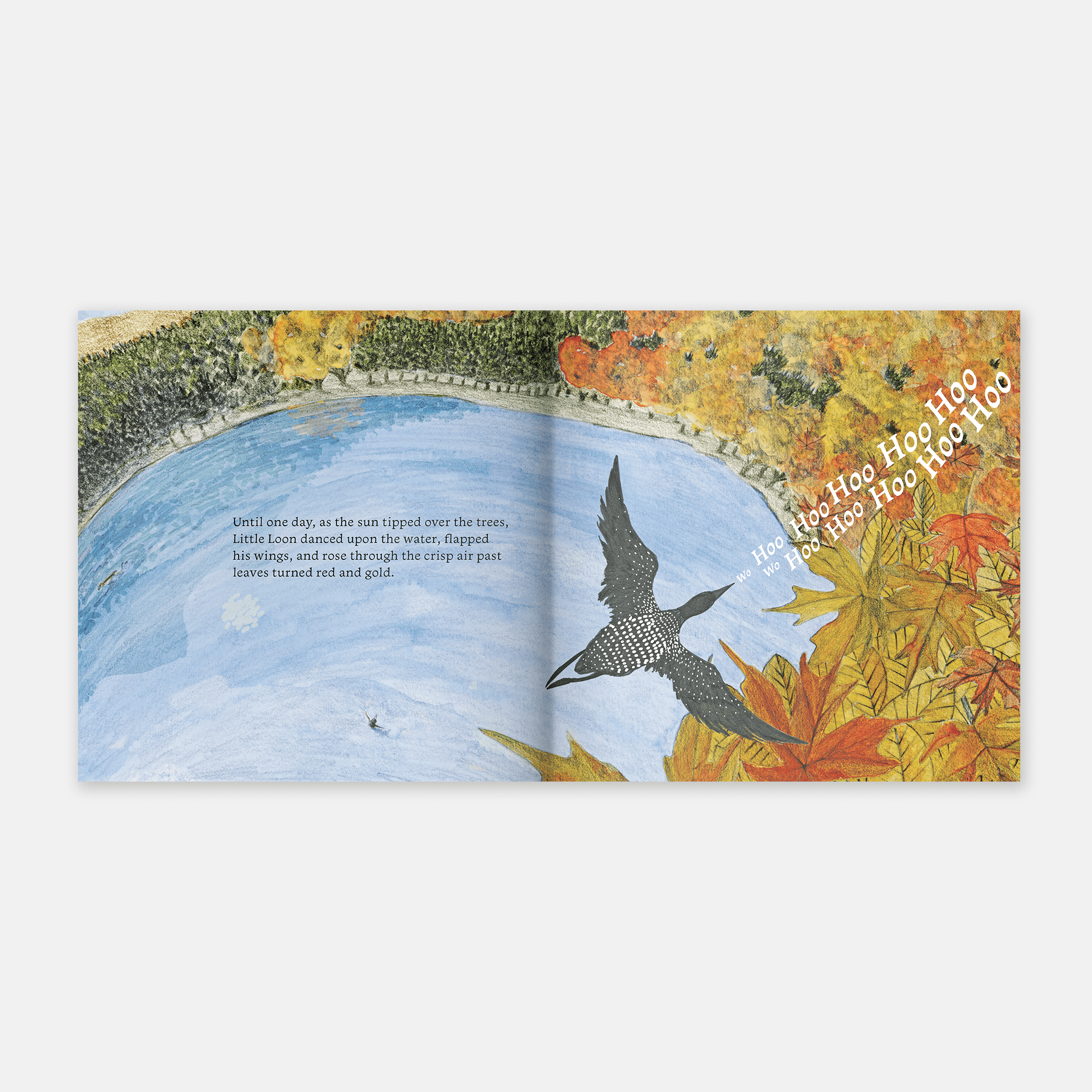 Little Loon Finds His Voice (Board Book)