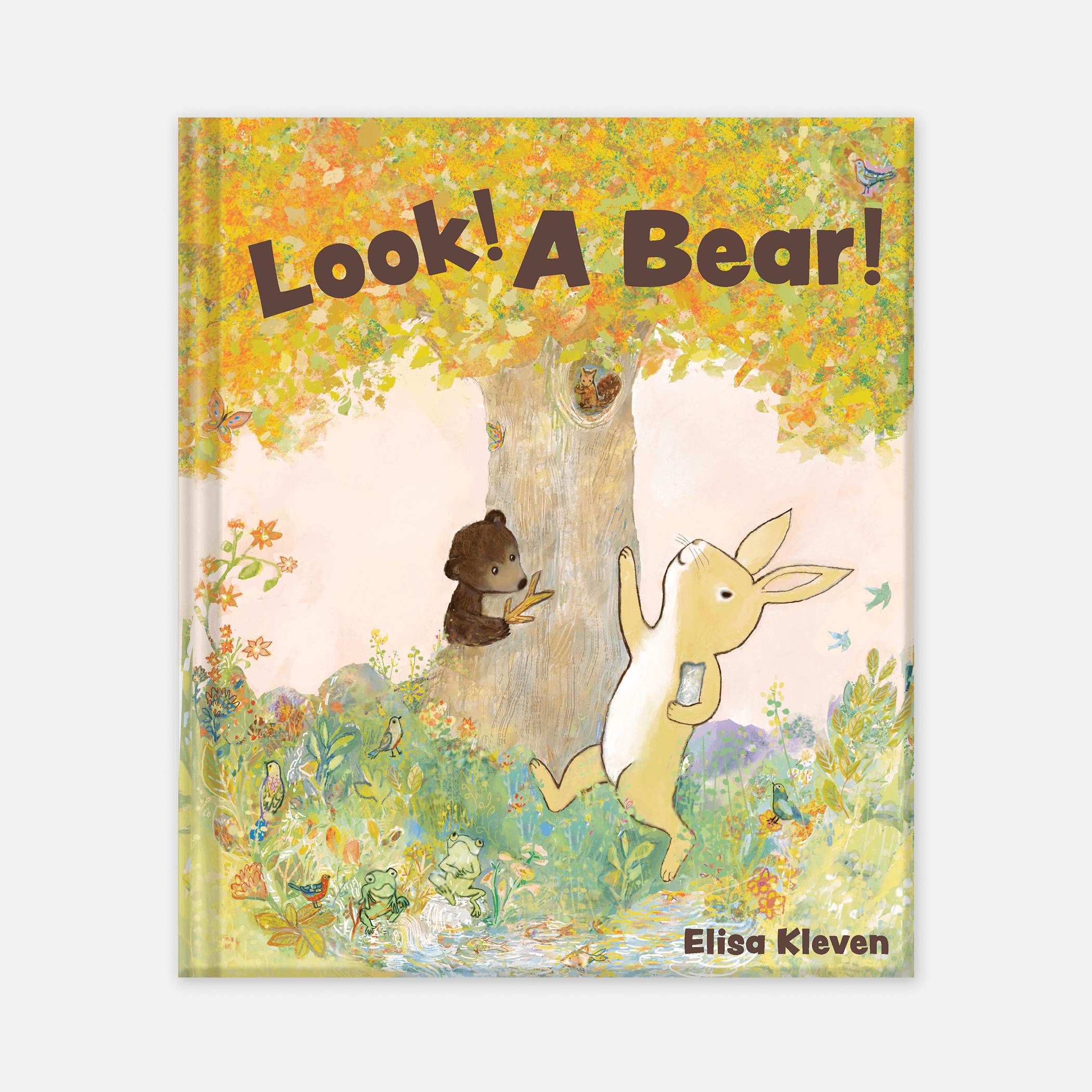 Look! A Bear!