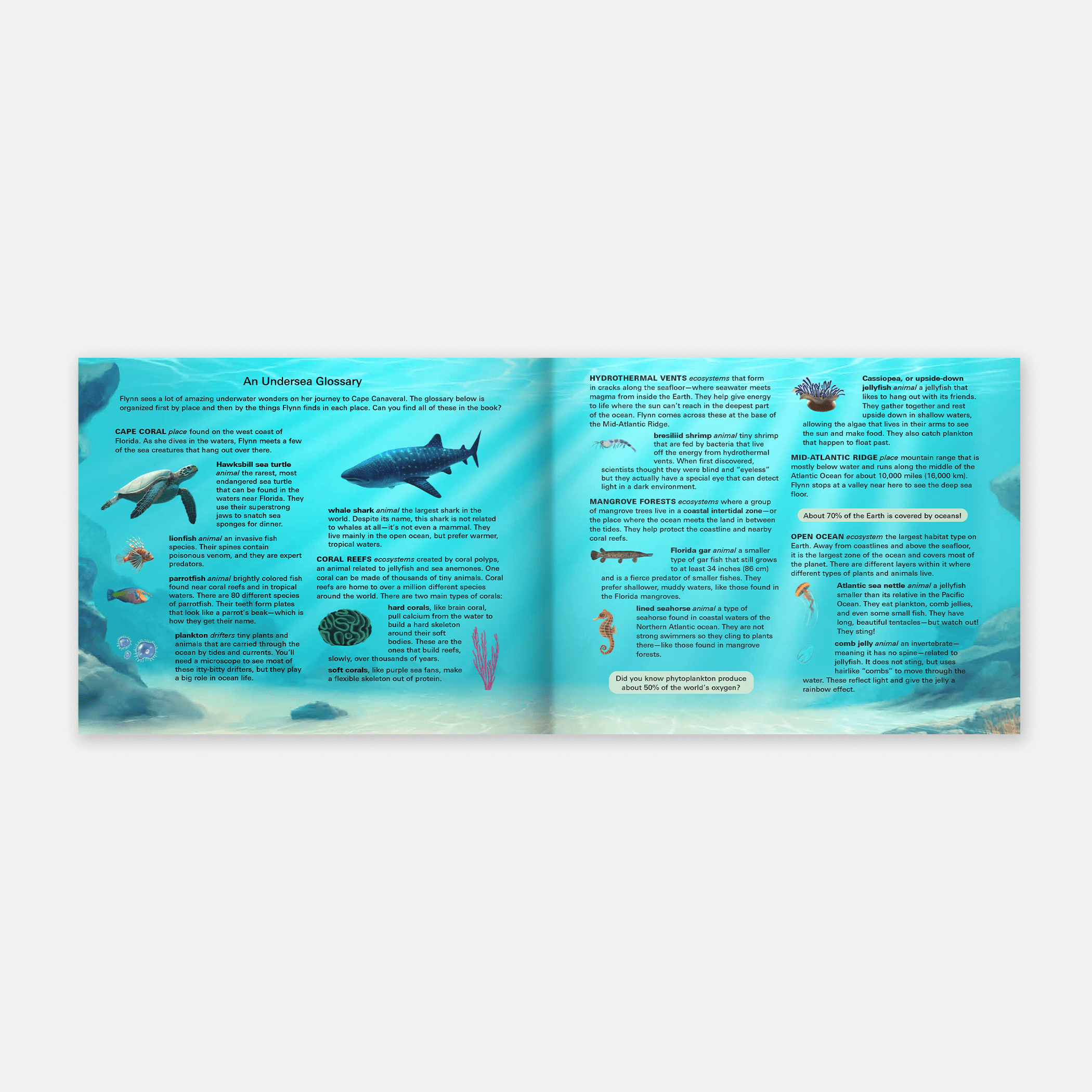 La Mosca que Voló Bajo el Mar (The Fly Who Flew Under the Sea Spanish Edition)