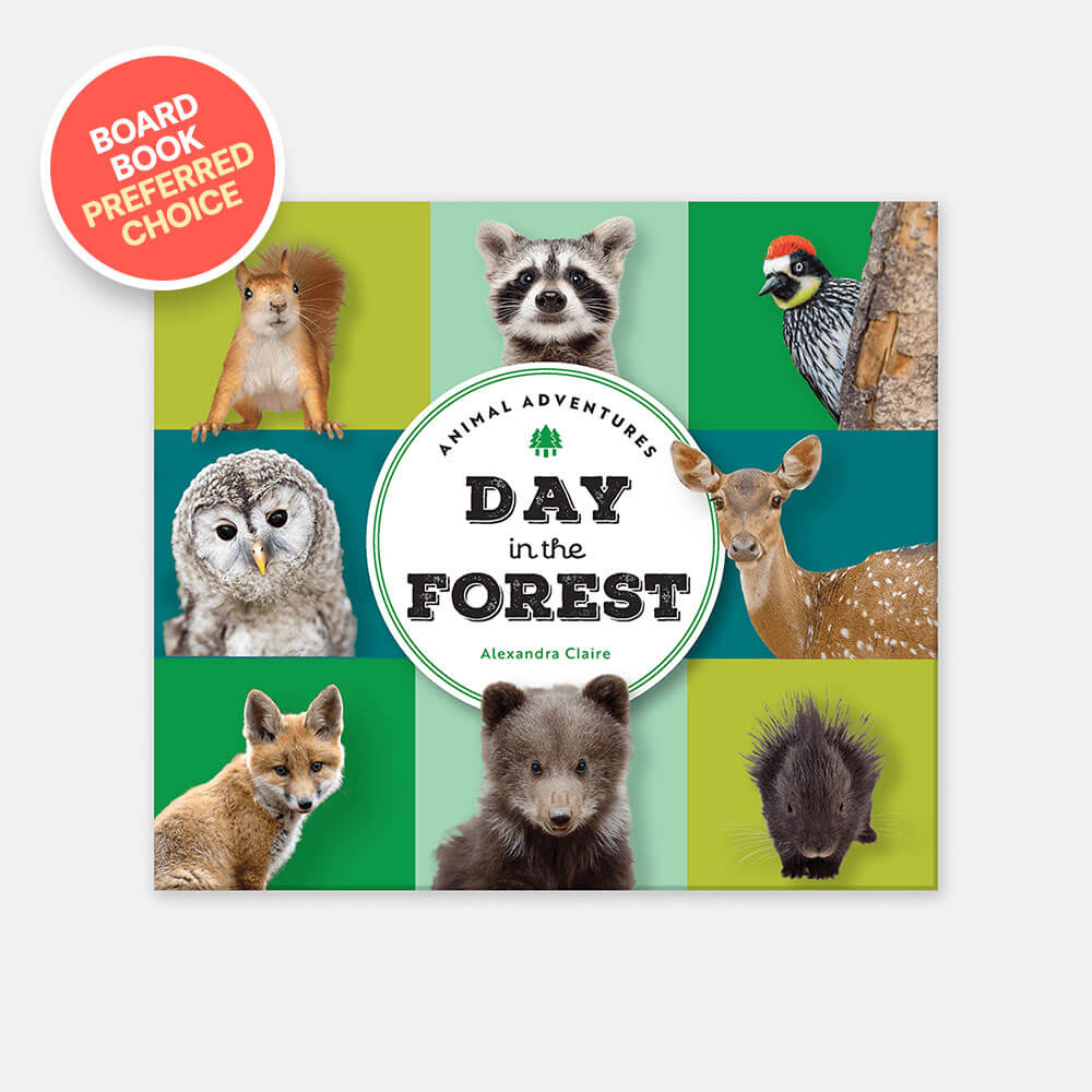 Donation to My Very Own Bed