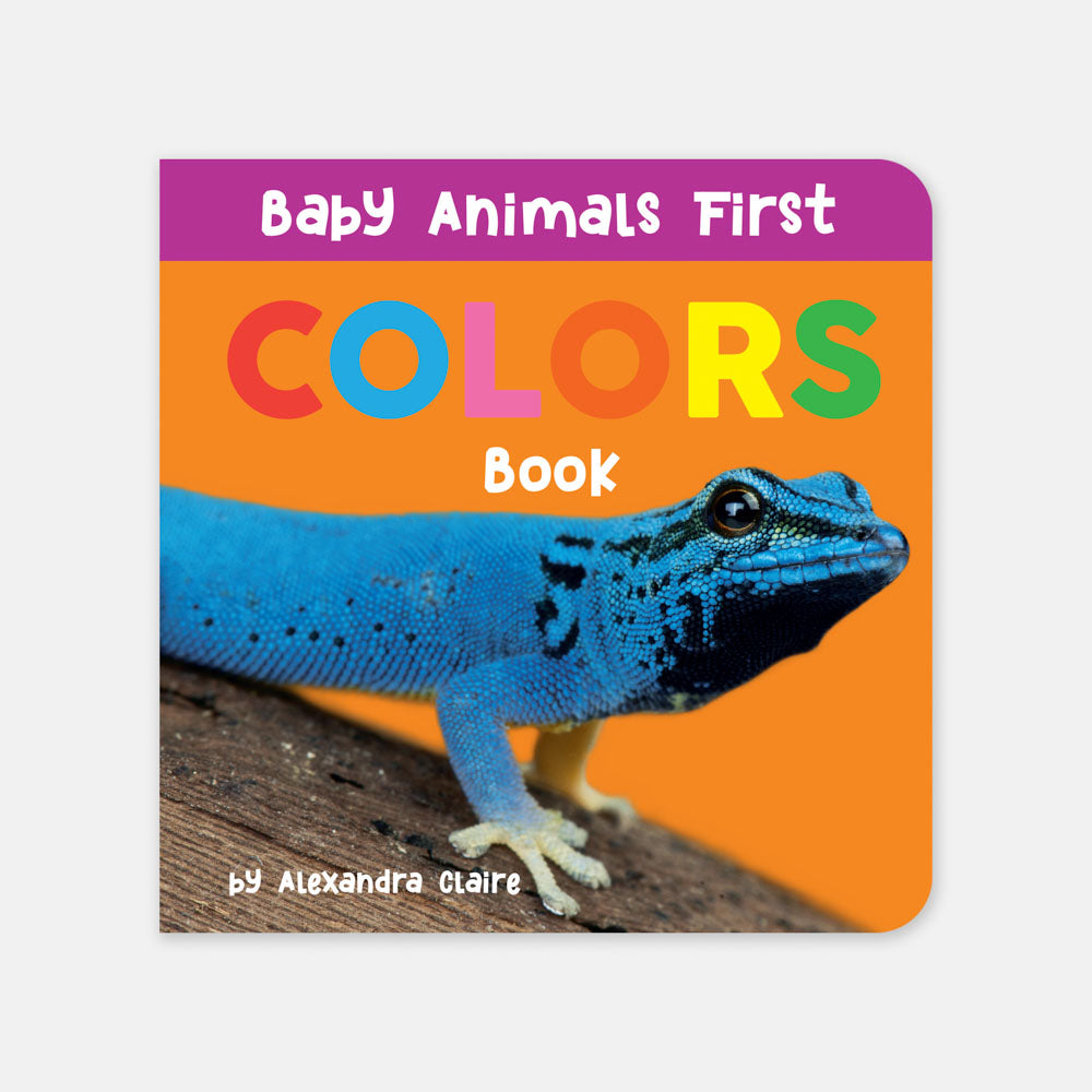 Baby Animals First Box Set: 123, ABC, Colors