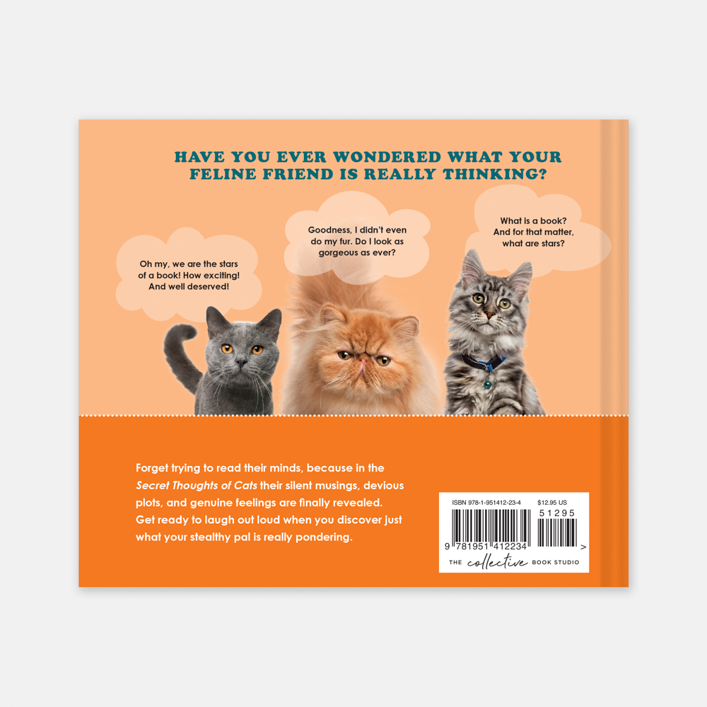 F21_SecretThoughtsofCats_BackCover_Render.png