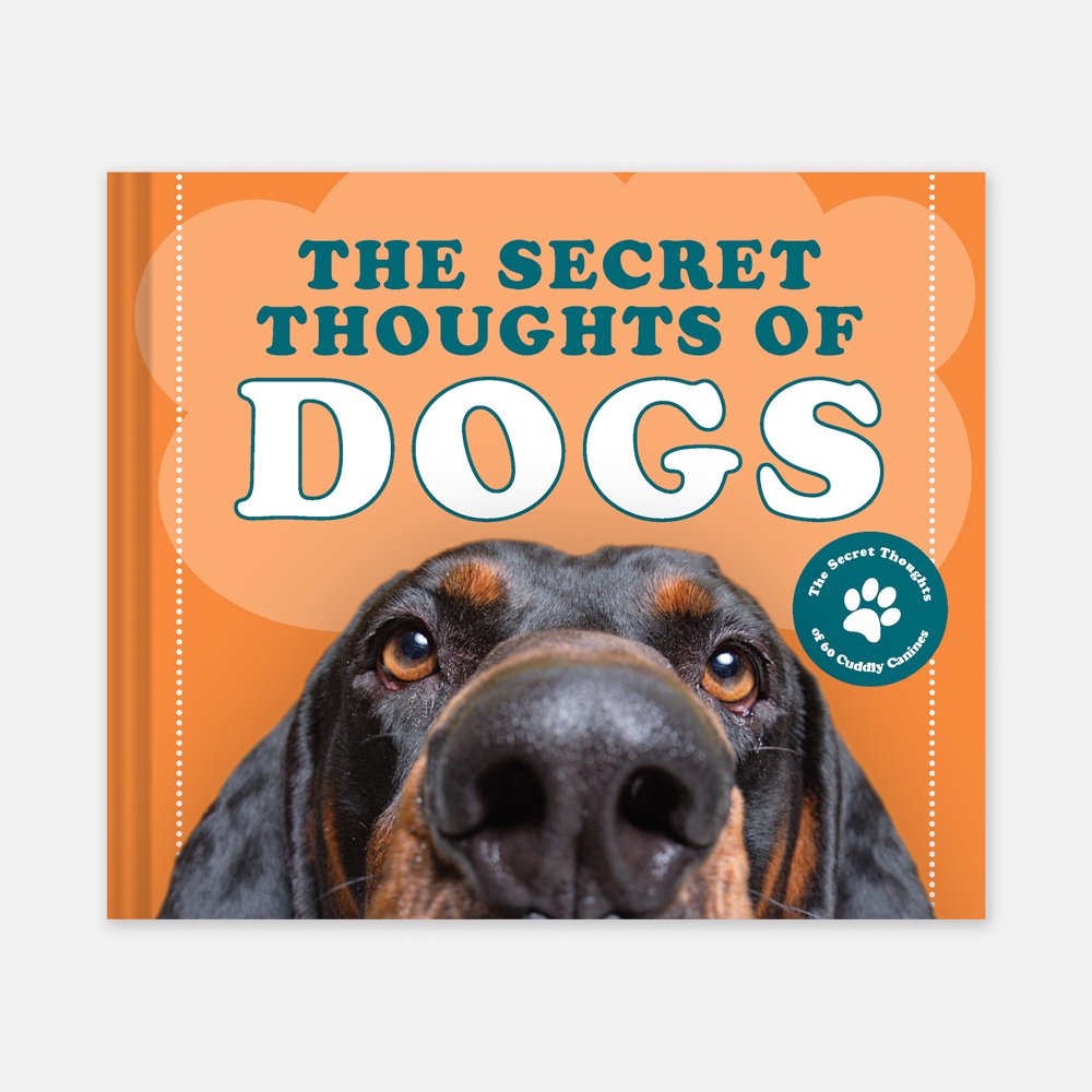 The Secret Thoughts of Dogs
