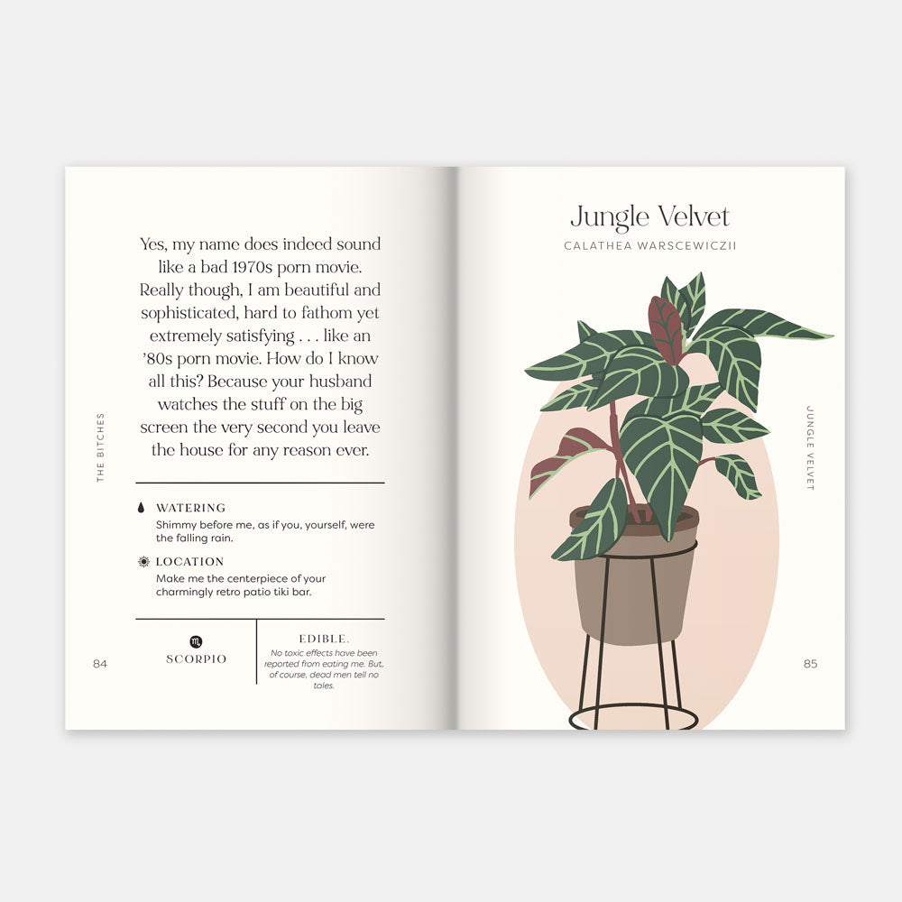 house plants and their f up thoughts Houseplants and Their Fucked-Up Thoughts