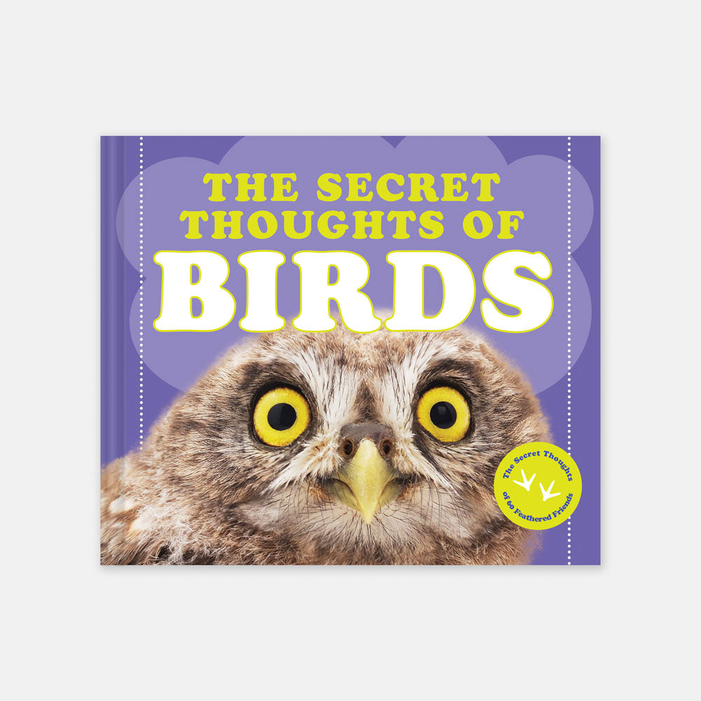 The Secret Thoughts of Birds